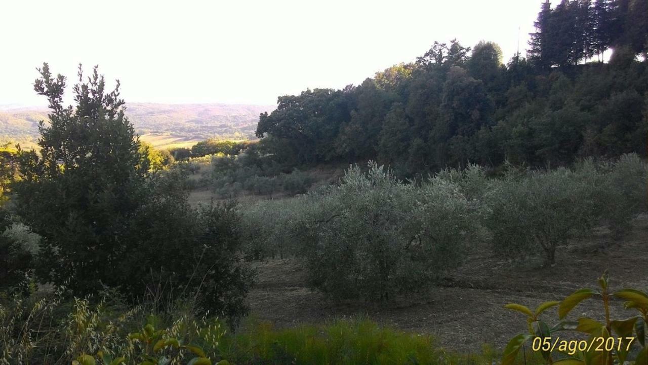 La Casa Dei Sogni Apartment Monteverdi Marittimo Luaran gambar